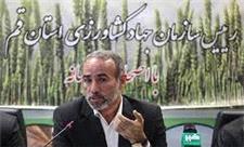 طرح‌های کشاورزی قم بر اساس الگوی کشت استان اجرا می‌شود