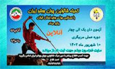 درخشش ووشوکاران سبک شائولین چوان قم در مسابقات کشوری