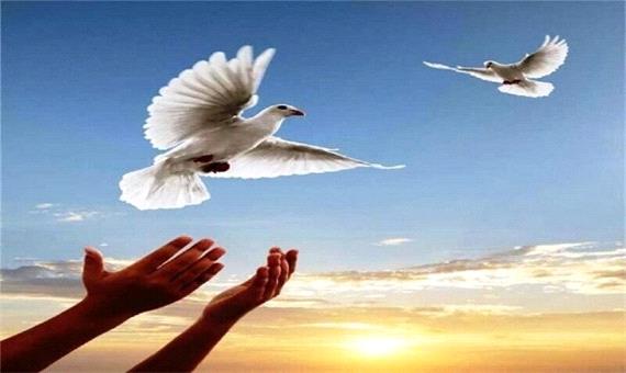 آزادی 65 زندانی در قم به مناسبت هفدهم ربیع الاول