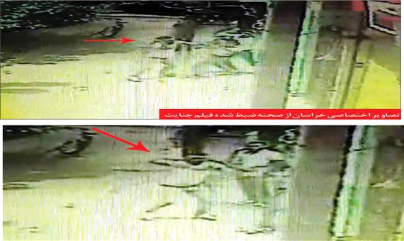 انتقام مرگبار قاتل جمجمه پلاستیکی!
