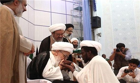 عکسی که جهانی شد؛ بوسه آیت‌الله صافی‌گلپایگانی بر دستان طلبه آفریقایی