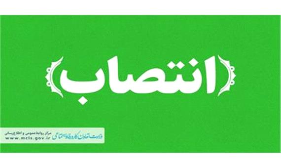 مشاور در امور اقتصادی وزارت تعاون، کار و رفاه اجتماعی منصوب شد