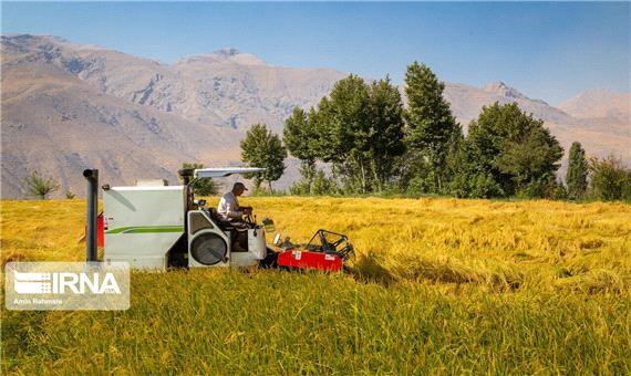 سند 40 هزار هکتار از اراضی کشاورزی قم در حال آماده سازی و صدور است