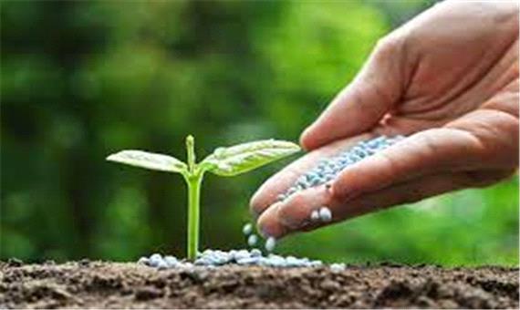 برنامه توزیع کودهای یارانه‌ای در قم 100 درصد محقق شد