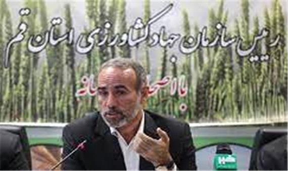 طرح‌های کشاورزی قم بر اساس الگوی کشت استان اجرا می‌شود