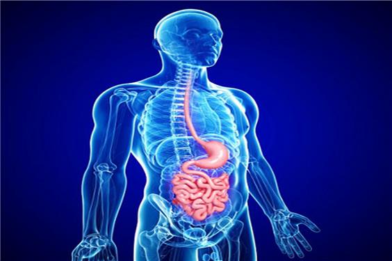 باکتری دشمن معده را بشناسید!