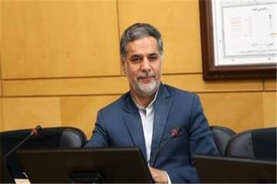 نظر "نقوی حسینی" درباره کارنامه یکساله دولت پزشکیان