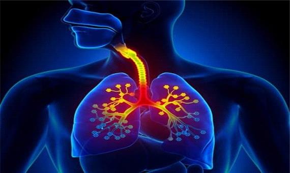 محافظت از ریه‌ها و سیستم تنفسی در مقابل بیماری‌های کشنده