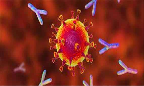 درباره نوع جدید ویروس آفریقای جنوبی چه می‌دانید؟