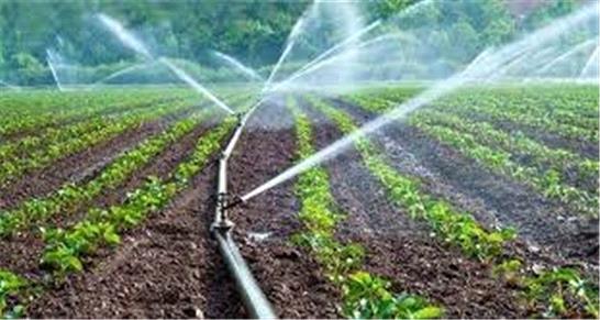 استفاده از روش‌های آبیاری نوین، راه حل بحران آب در کشاورزی استان قم