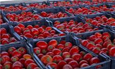 چیپس گوجه در قم تولید می‌شود