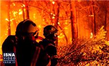 تداوم آتش‌سوزی مهیب در جنگل‌های فرانسه