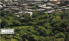 سطح زیر کشت باغات شهرستان کهک قم یک‌هزار و 500 هکتار است
