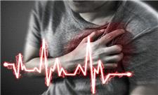 نقش دارچین در پیشگیری و درمان بیماری‌های قلبی