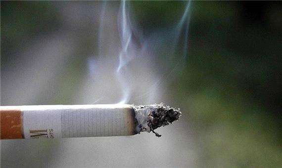 13 درصد مرگ و میرها در ایران به خاطر مصرف این سیگارهاست
