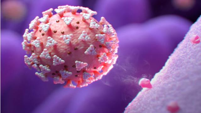 ثبت ۴۱ مورد جدید ابتلا به کرونا در استان قم