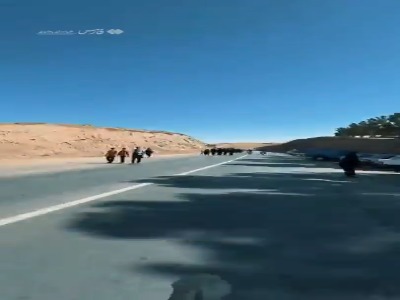 جاده‌های مشهدالرضا، میزبان زائران پیاده
