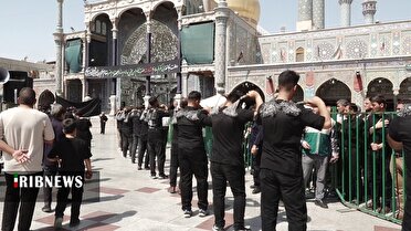 شهر اخت الرضا، سوگوار شهادت امام رضا