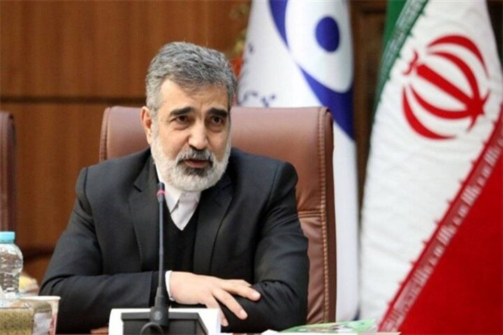 توضیحات کمالوندی درباره حضور بازرسان آژانس در ایران