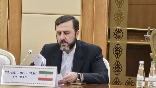 توضیحات معاون عراقچی درباره فرآیند فعال‌سازی اسنپ‌بک