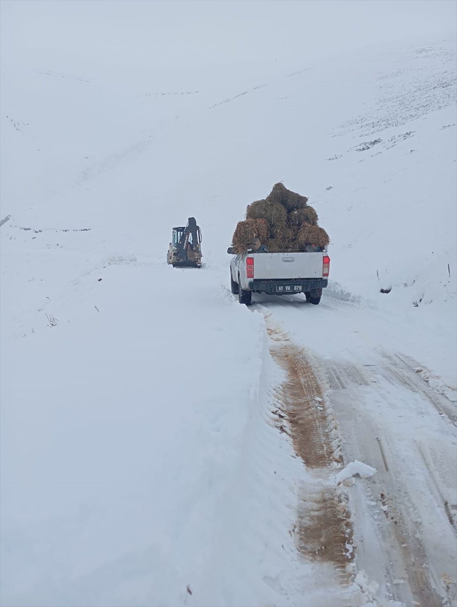 برف و باران در آخرین روز تابستان