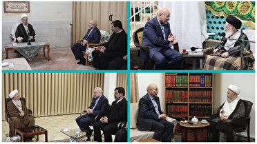 دیدار رئیس مجلس شورای اسلامی با مراجع عظام تقلید درقم