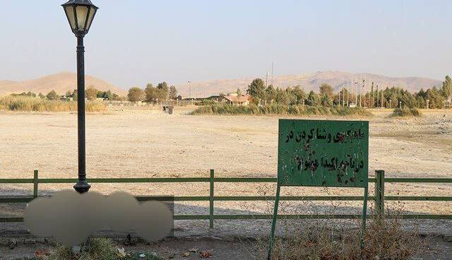 «سراب نیلوفر» خشک شد