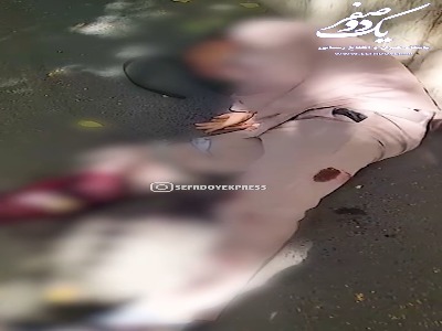 زمین‌گیر شدن سارق منزل با شلیک ماموران پلیس