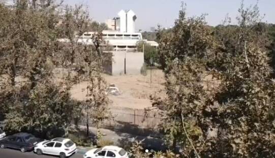 ماجرای قطع درختان موزه فرش