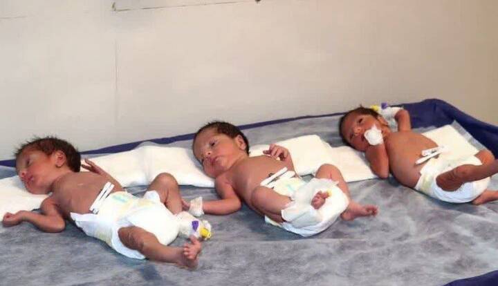 ثبت بیش از ۱۱ هزار واقعه ولادت چند قلوزایی طی امسال