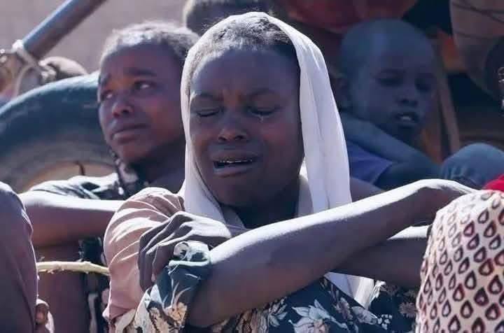 واکنش وزیر امور خارجه به کشتار بی گناهان در سودان