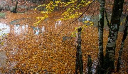 وضعیت دما و بارش تا پایان آذرماه