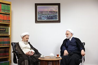 اقدامات دستگاه قضا در واگذاری‌ها مثبت است