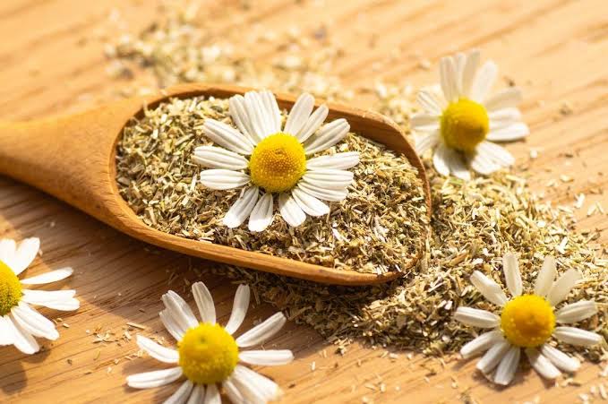 مزاج بابونه چیست؟