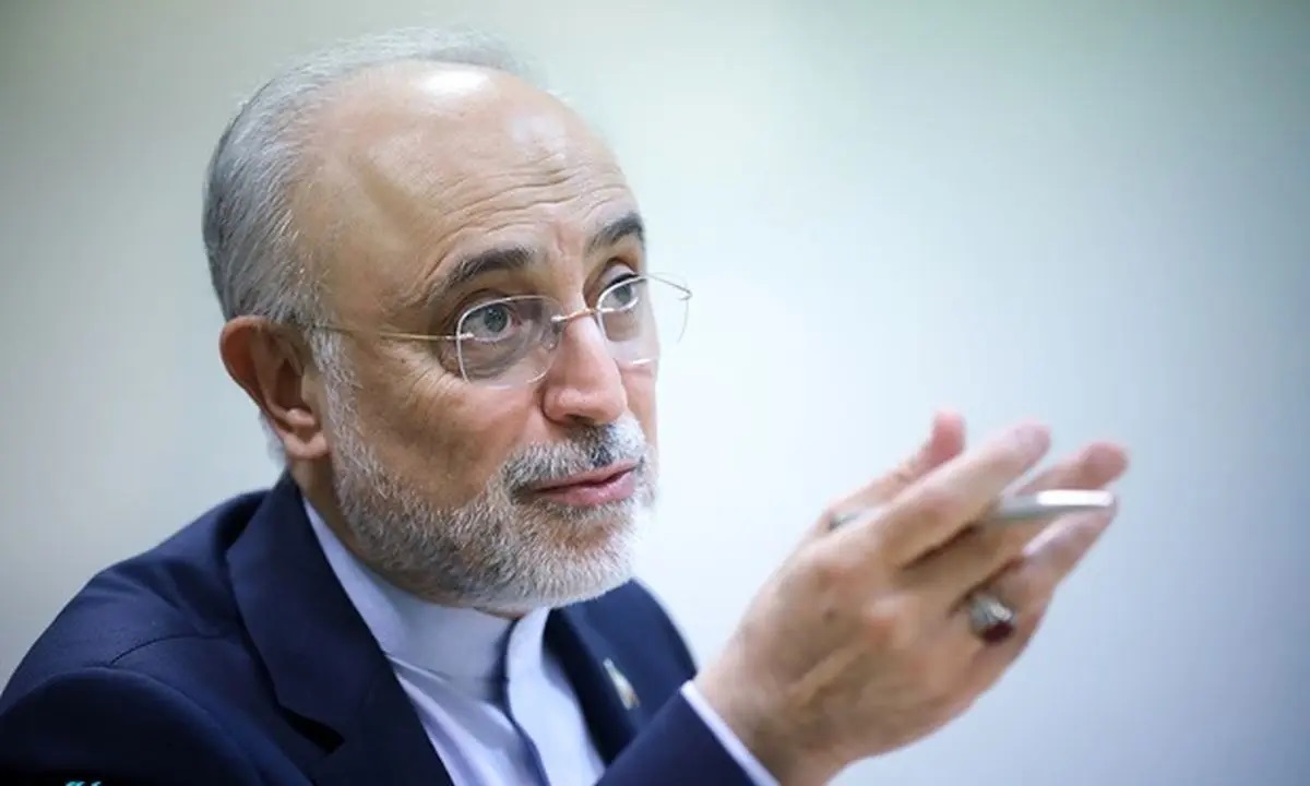 علی‌اکبر صالحی: رویکرد فعلی سیاست خارجی، خطر انزوای استراتژیک ایران را در پی دارد