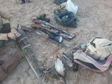 شکارچیان متخلف در تالاب مره قم دستگیر شدند