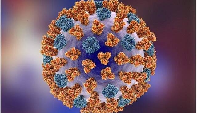 آنفلوآنزا، شایع‌ترین عفونت تنفسی این روزها / ماجرای «کرونای تیغی»