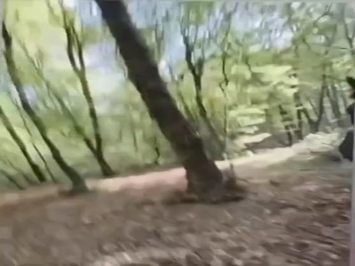 بازداشت قاچاقچی چوب که با «داس و تبر» به جان جنگلبانان افتاد