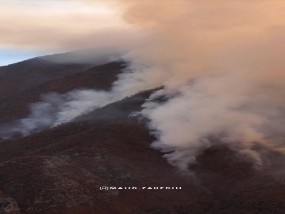 جنگل الیت ایران در شعله‌های آتش؛ مردم چشم‌انتظار باران و لحظه‌ای آرامش