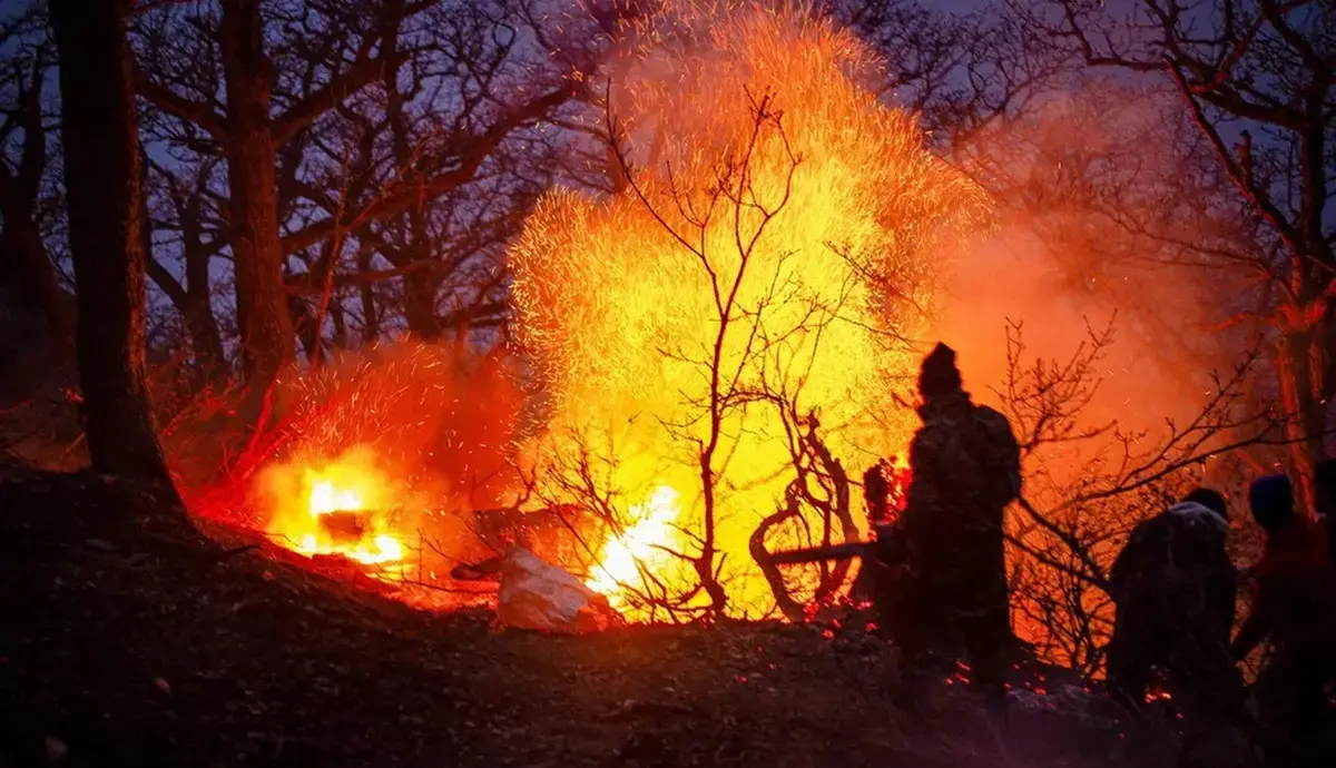 گریه‌های جنگلبانان برای سوختن جنگل‌های هیرکانی