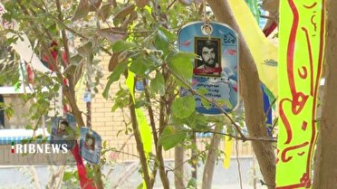 مدرسه علمیه حضرت آمنه(س) فردا میزبان پیکر پاک شهید گمنام