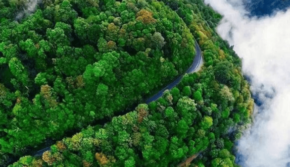 مسیرهای منتهی به جنگل‌های مازندران مسدود شد