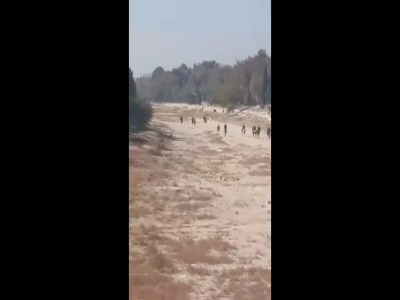 اسب‌سواری در «زاینده‌رود»؛ آب منطقه‌ای: مجوز نداشت!