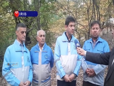 پایان عملیات اطفاء آتش‌سوزی در ۷ جنگل استان گلستان