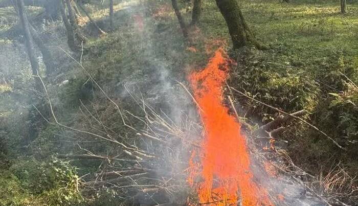 آتش‌افروز هیرکانی دستگیر شد