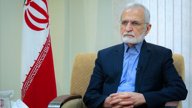 نقل قول از کمال خرازی درباره سلاح حزب‌الله لبنان تکذیب شد