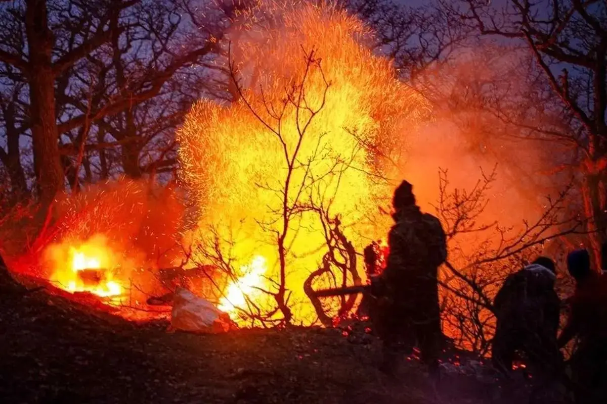بررسی علت آتش‌سوزی جنگل‌های هیرکانی روی میز دستگاه قضا