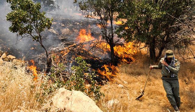 ثبت سالانه ۱۸ هزار آتش‌سوزی در کشور