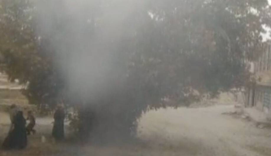 درخت چنار ۱۲۰ ساله لردگان در آتش‌ سوخت