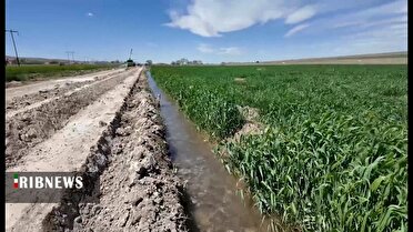 اجرای طرح‌ آبخیز تا جالیز در روستا‌های قم